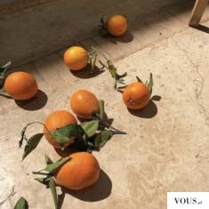 pomarańcze z ogonkami