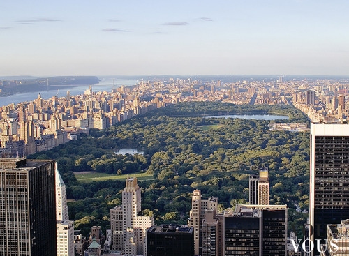 Panorama Central Parku w Nowym Yorku