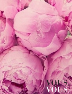 Piękne różowe kwiaty