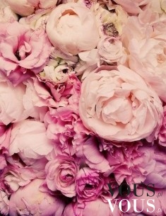 Różowe kwiaty
