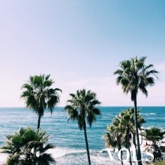 Widok na plażę i palmy. Miejsce na wakacje, ocean i słońce