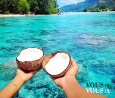 Mleko kokosowe, czy mleko kokosowe jest zdrowe? Wakacje na wyspie, rajska wyspa