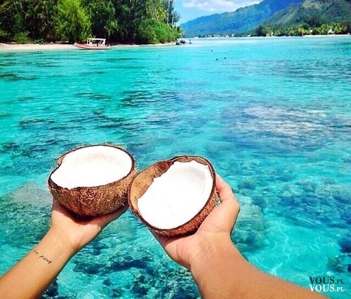 Mleko kokosowe, czy mleko kokosowe jest zdrowe? Wakacje na wyspie, rajska wyspa