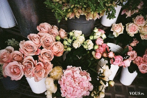 Piękne bukiety róż