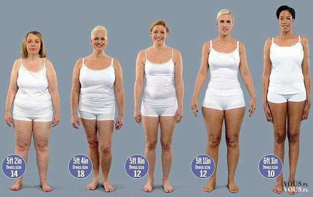 Różne rodzaje sylwetek, ile tłuszczu masz w organizmie ? jak mierzyć BMI?