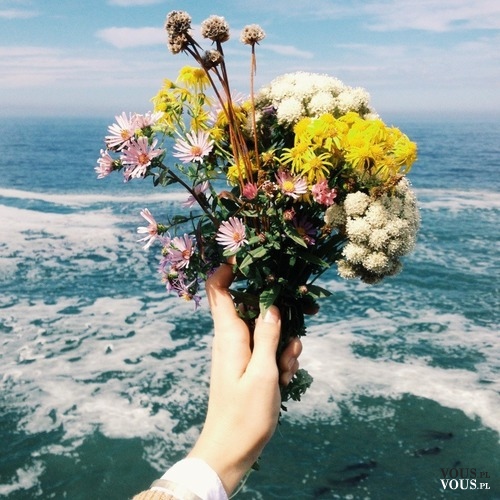 bukiet z polnych kwiatów, morze, wakacje nad morzem
