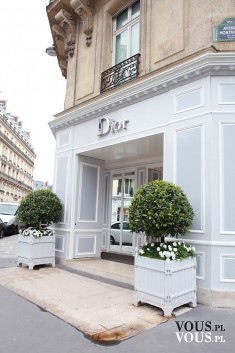 dom mody Dior, butik dior, jak wygląda sklep Dior