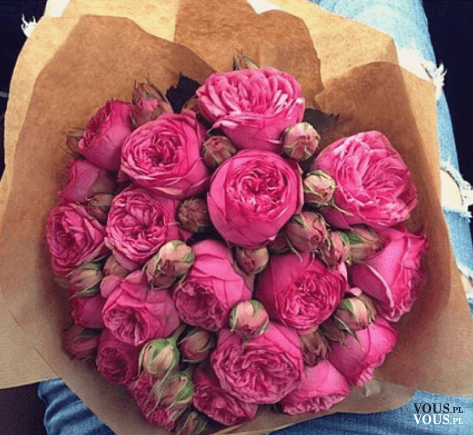 Bukiet różowych kwiatów. Bukiet z piwonii.