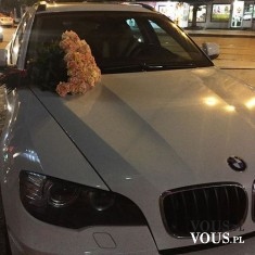 białe BMW