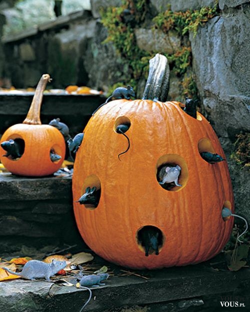 Dekoracje na hallowen – dynia i myszki, jakie są najlepsze dekoracje na hallowen?