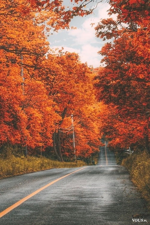Piękna jesień, alejki, droga w lesie, Gdzie to jest?