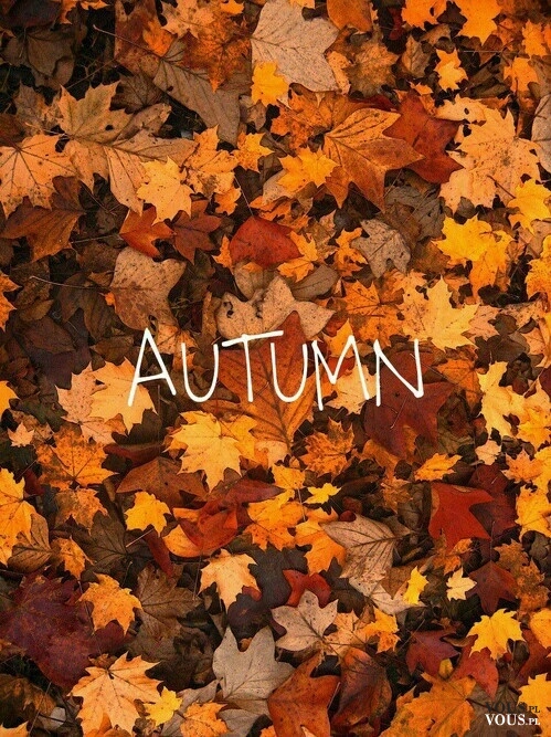 Dzień dobry jesień! Hello autumn. Lubisz jesień?