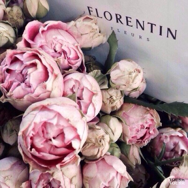 Piękne i pachnące piwonie <3 bukiet blado różowych kwiatów