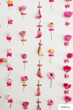tło na ściane z prawdziwych różowych kwiatów