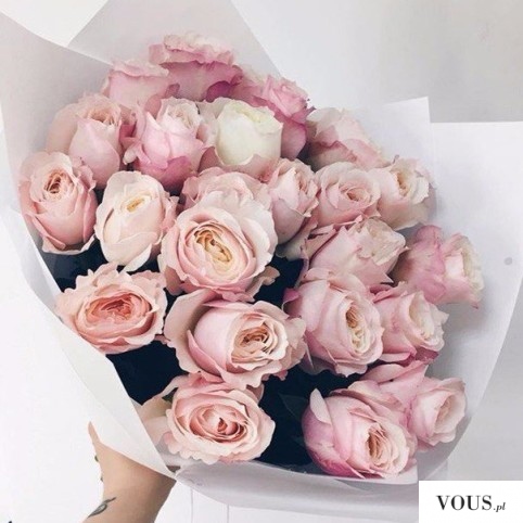 różowe róże, jaki kolor kwiatów najbardziej lubią kobiety?