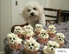 Psiakowe babeczki – muffinki psy