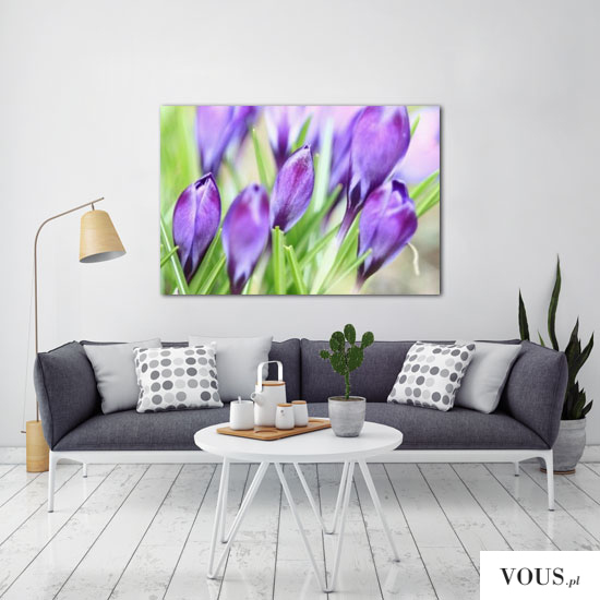 Piękne fioletowe tulipany jako motyw dekoracji ściennej. Obraz polecamy do upiększenia ścian w s ...