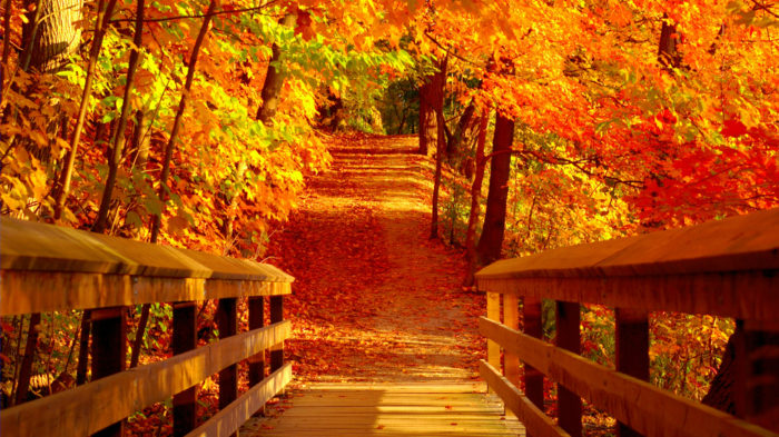 przyroda, natura, jesień – Babstyl | Babstyl