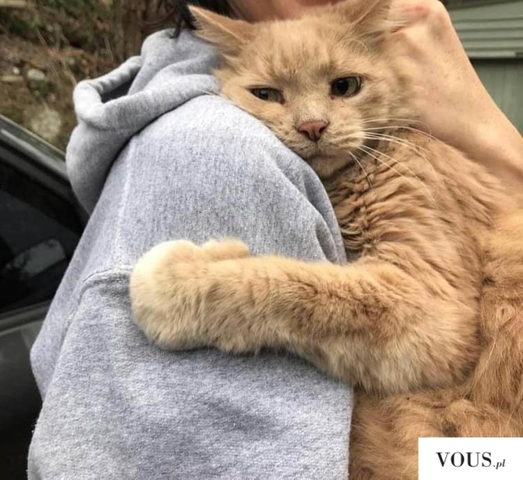 Przytulaśny kotek