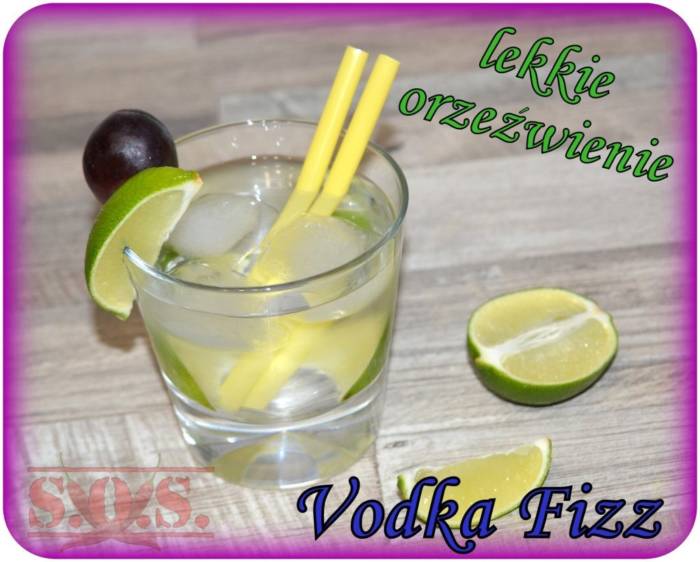 Drink Vodka Fizz – lekko słodki orzeźwiający drink z wódką;)

Drink Vodka Fizz | Blog Kuli ...