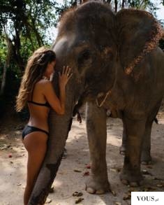 zdjęcie ze słoniem